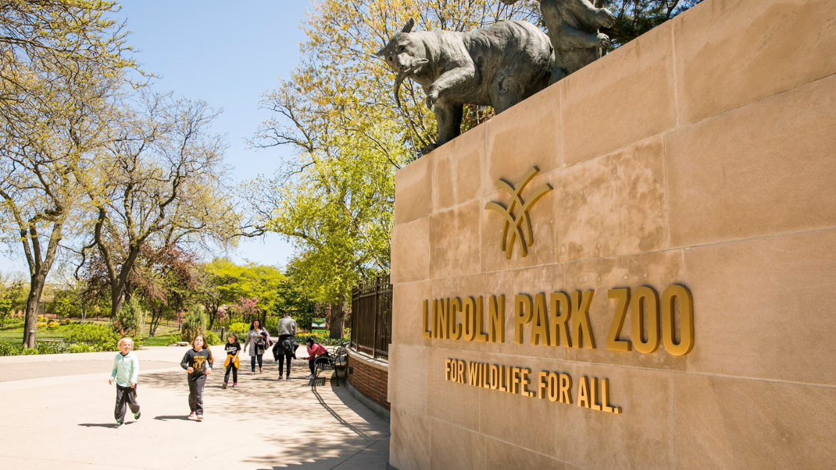 Lincoln Park Zoo and the Chicago skyline