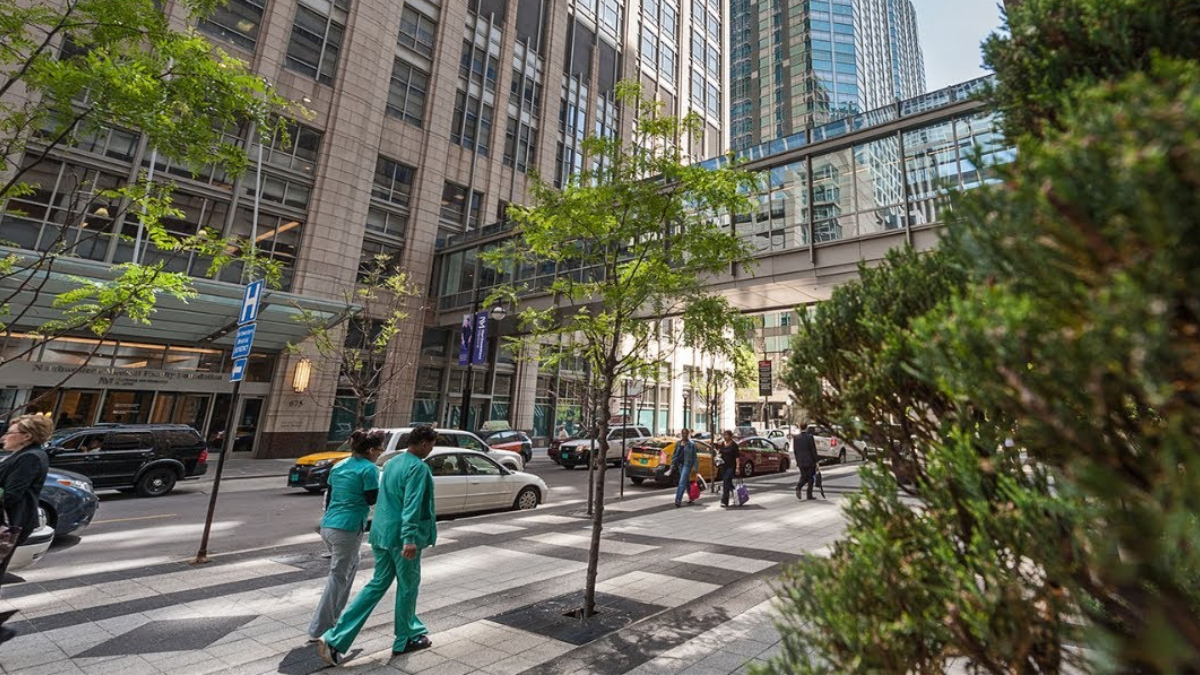 Northwestern University Chicago campus and hospital in Streeterville